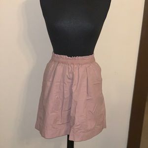 JCrew Skater Skirt
